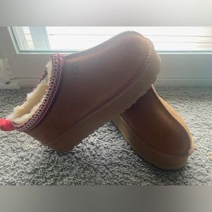 tasmen uggs(never worn before) (european size 36)
